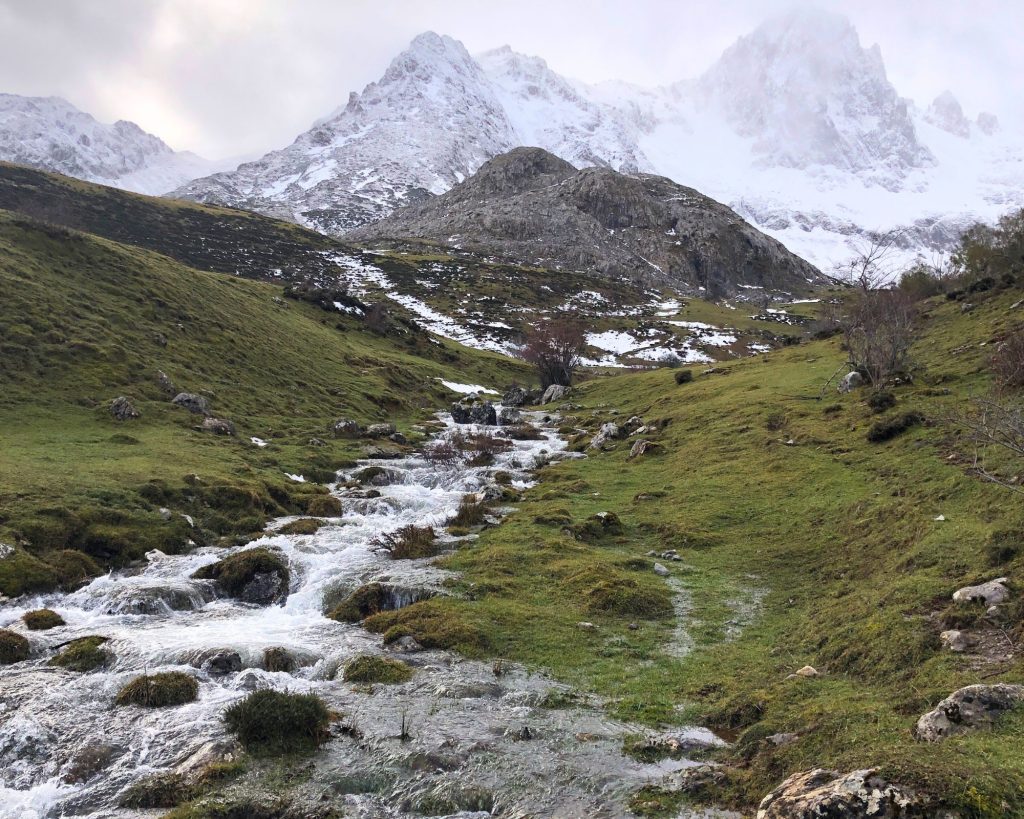 rutas con perros monte